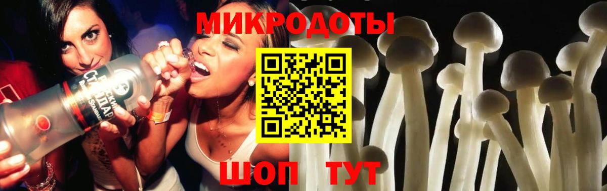 Псилоцибиновые грибы мицелий Сургут
