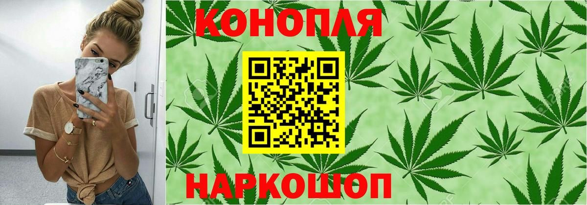 Конопля планчик Сургут